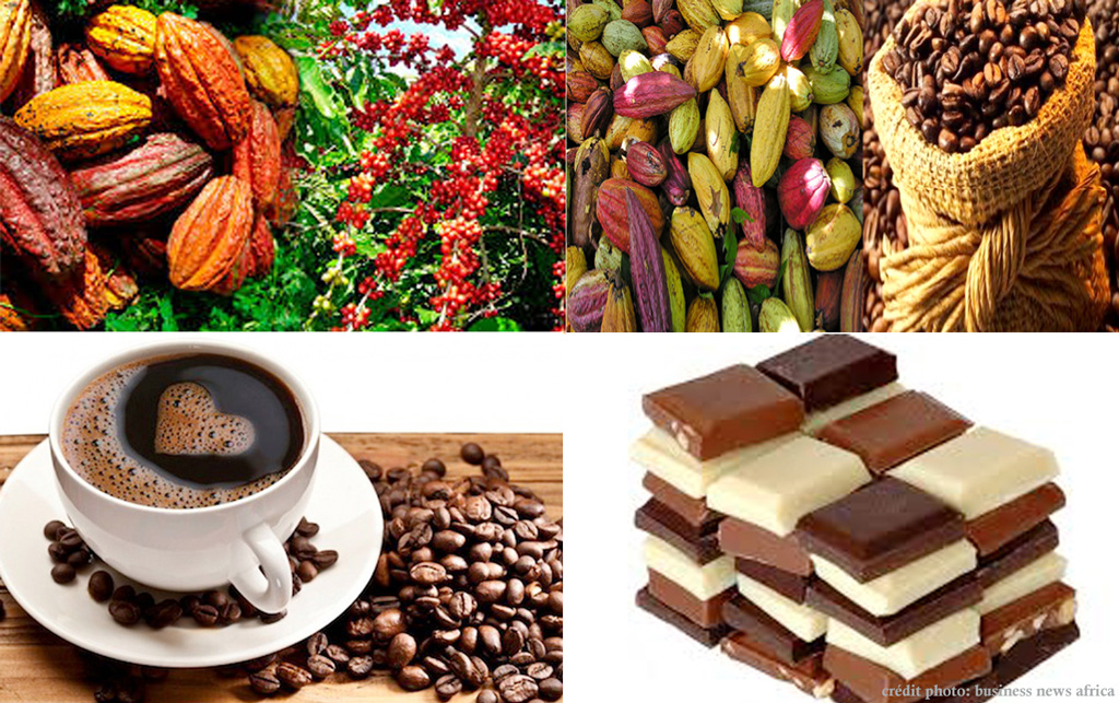 cafe-cacao-la-cote-divoire-fixe-le-cap-a-1-200-fcfa-pour-le-cacao-et-1-300-fcfa-pour-le-cafe.jpg