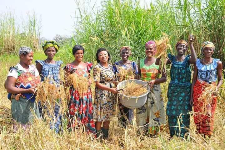 Côte d’Ivoire / Botro, Diabo, Languibonou : Rebecca Yao engagée dans la promotion de la femme en milieu rural