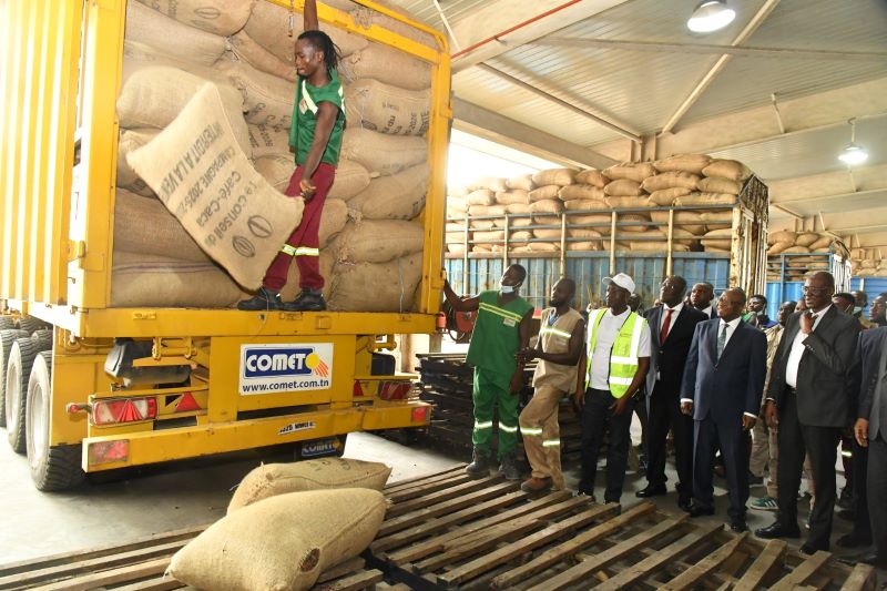 Côte d’Ivoire / Crise dans la filière Cacao : Le gouvernement débloque la commercialisation