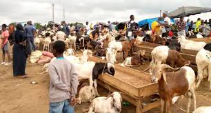 Côte d’Ivoire / Tabaski 2025 : Sept sites aménagés pour rendre le mouton accessible à la population d’Abidjan