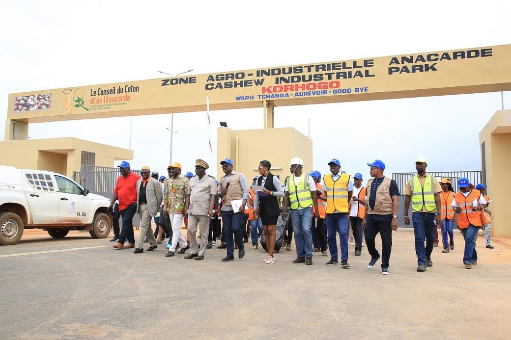 Côte d’Ivoire / Transformation des matières premières : Le Conseil  du coton-anacarde passe la vitesse supérieure
