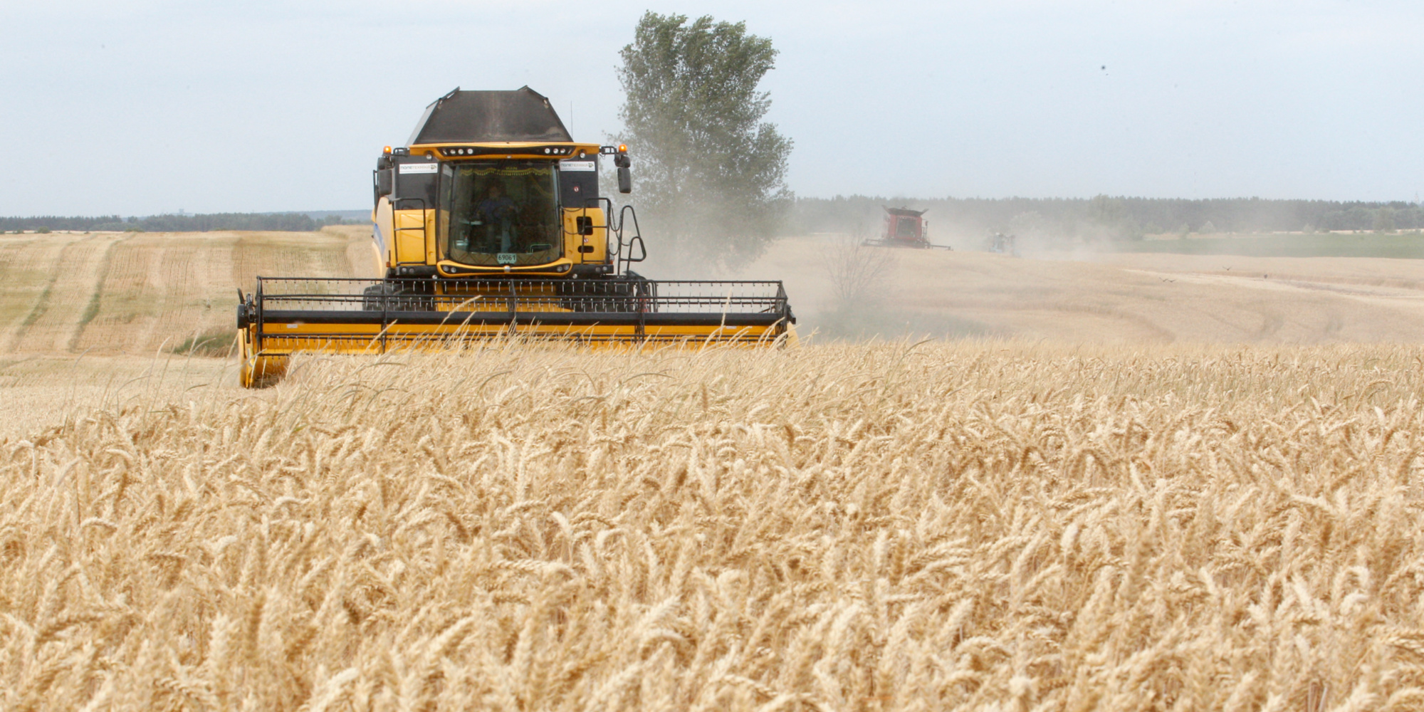 Crise alimentaire : La situation sur le marché mondial