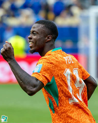 Eléphant de Côte d’Ivoire : Hervé Renard veut chasser Pépé