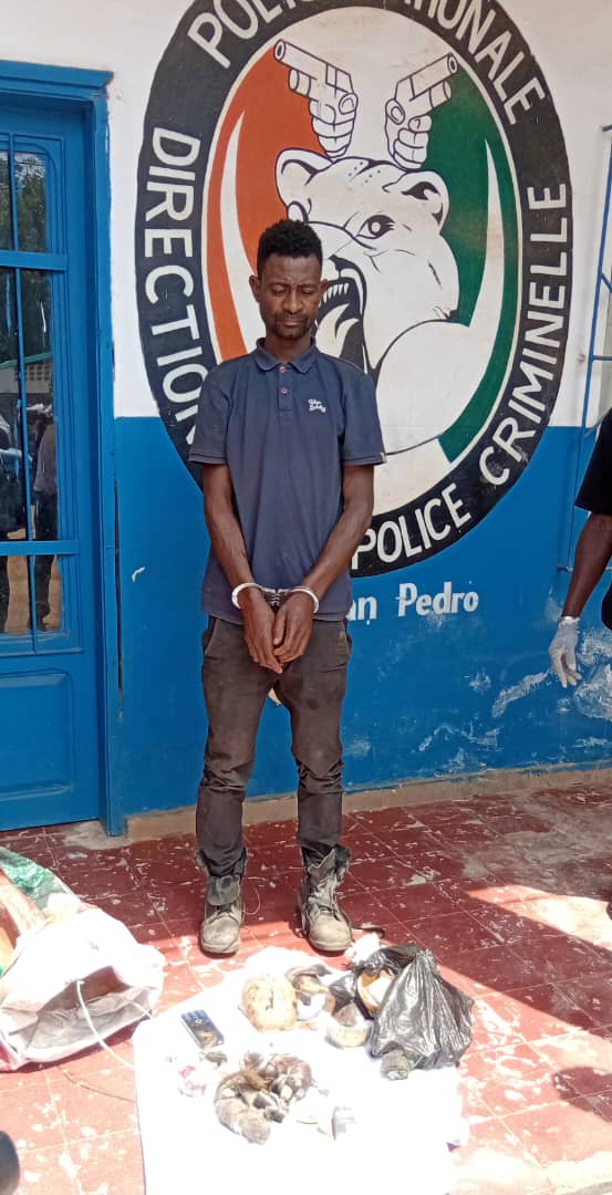 Méagui : Un présumé cannibale dans les filets de la police criminelle